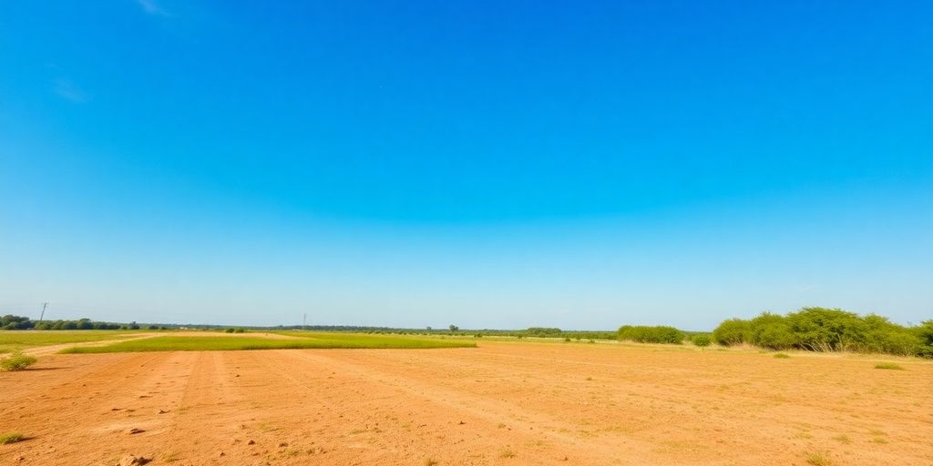easiest way to find out the value of my land
