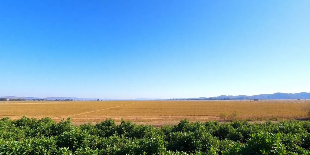 Open land ready for fast property sales.