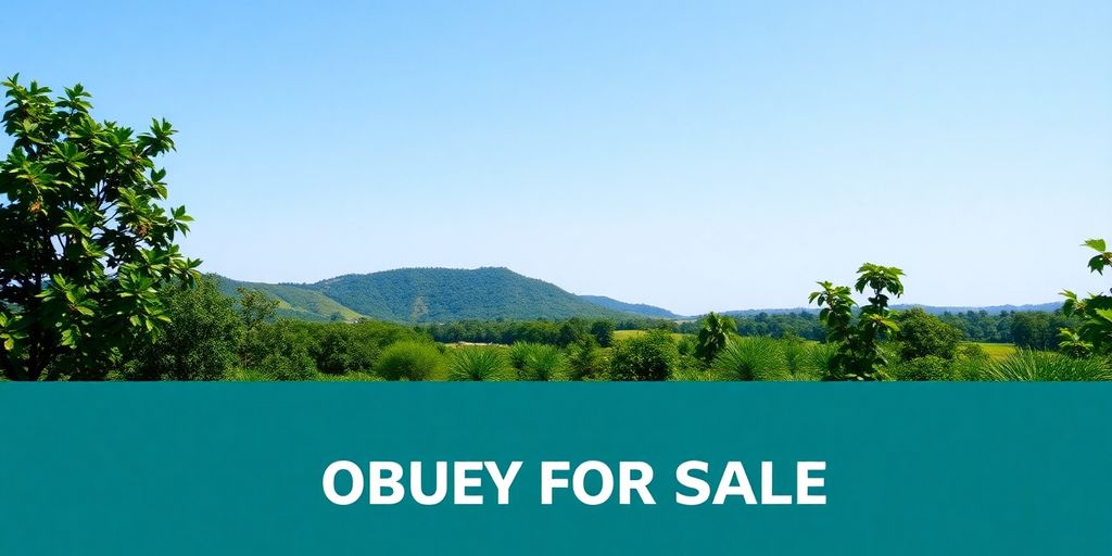 Vacant land with greenery under clear blue skies.