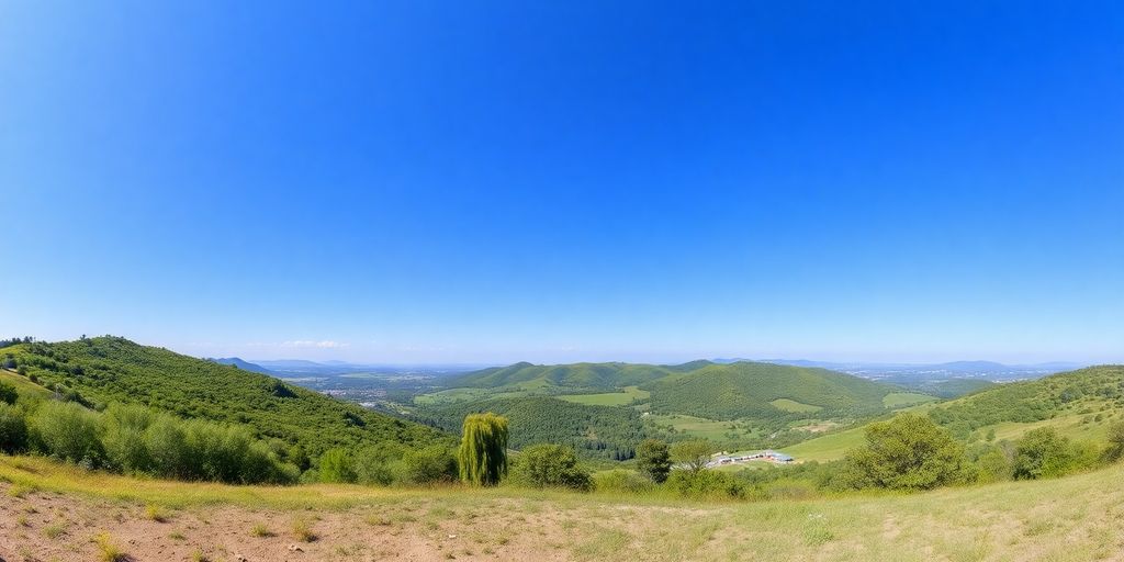 Scenic vacant land with greenery and blue sky.